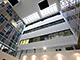 Royal Women′s Hospital